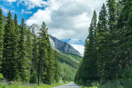 Bow Valley Parkway in Banff National Park during summer in Canadaの写真素材