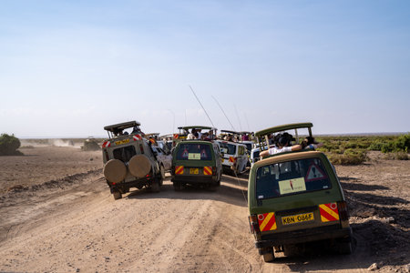 Ambroseli National Park, Kenya - March 5, 2023: Traffic jam and crowds of safari vehicles when a lion was spottedのeditorial素材