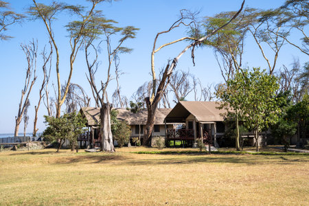 Lake Naivasha, Kenya, Africa - March 4, 2023: Tented cabins at Lake Naivasha Crescent Camp, a lodge and restaurantのeditorial素材