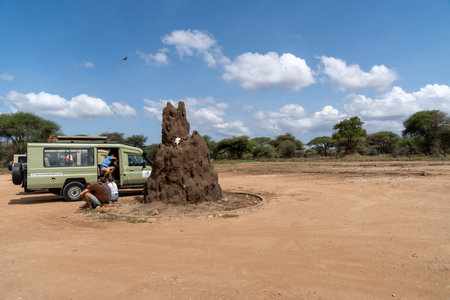 Tanzania, Africa - March 13, 2023: Land Cruiser safari vehicle parked near a large termite mound, as tourists rest and wait before entering Tarangire National Parkのeditorial素材
