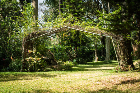 Beautiful garden arch surrounded by trees and ornamental plants in a backyardの写真素材
