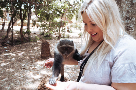 Woman holds a Syke Monkey (blue monkey) as it eats out of her hand, in Nairobi City Park