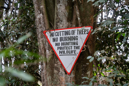 Sign in the forest - no cutting trees, no burning, no hunting to protect wildlifeの写真素材