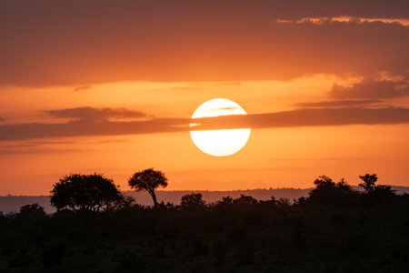 Sunrise in the Masai Mara of Kenya Africa, featuring a colorful orange sky and large sunの写真素材