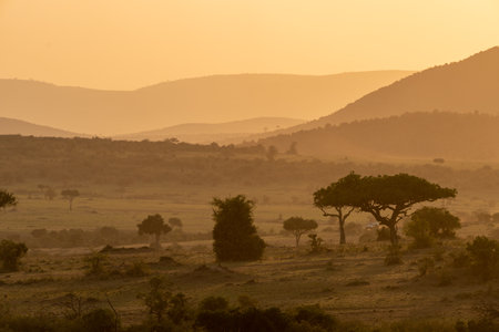 Iconic dusk orange sunset scene in the Masaai Mara reserve in Kenya Africa. Dusty sceneの写真素材