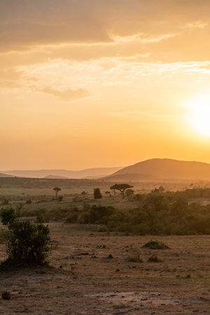 Iconic Africa sunset and orange sky with large sun, over the Masaai Mara Reserve in Kenyaの写真素材