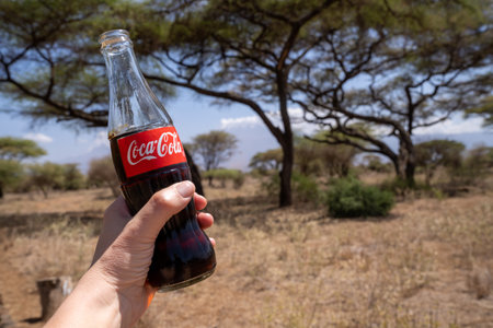 Kenya, Africa - March 5, 2023: Hand holds a glass Coca-Cola coke soda pop bottle while on safariのeditorial素材