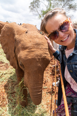 Cute woman pets a baby elephant in Nairobi Kenya Africa