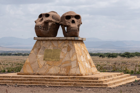 Tanzania, Africa - March 12, 2023: Statue at the Olduvai Gorge Museum (Ngorongoro Conservation Area). Human Skulls of Paranthropus and Homo Habilisのeditorial素材