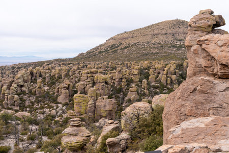 Trailhead directions for Chiricahua National Monument - Faraway Ranch, Stafford Cabin and Bonita Creek trailの写真素材