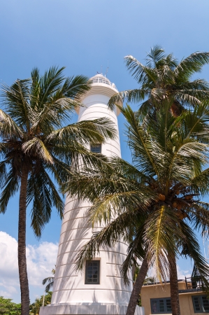 Lighthouse in Galle among the palms, Sri Lankaの写真素材