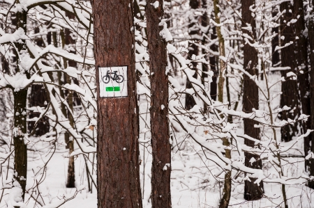 Bike route sign on the tree in winter の写真素材