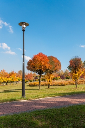 Autumn in a park, Sosnowiec, Polandの写真素材