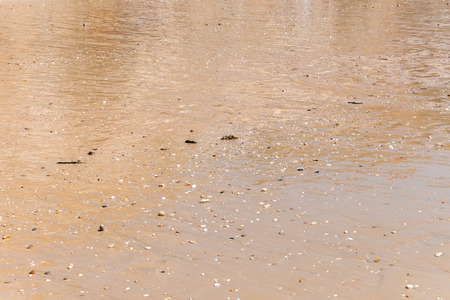 Background made of wet sand and pebblesの写真素材