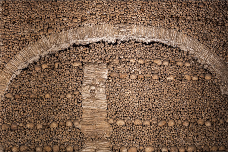 Background made of human bones and skullsの写真素材