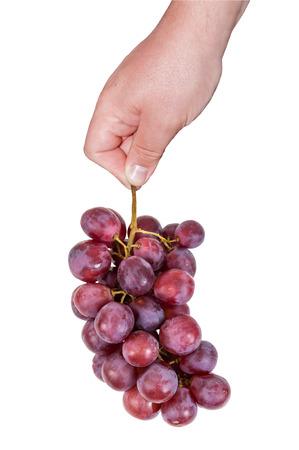 Hand holding bunch of red grapes isolated on white background with clipping pathの写真素材