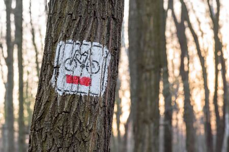 Red bicycle trail sign painted on the treeの写真素材