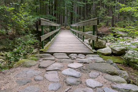 Bridge over the Mumlava river near Harrachov in Czech Giant Mountainsの写真素材