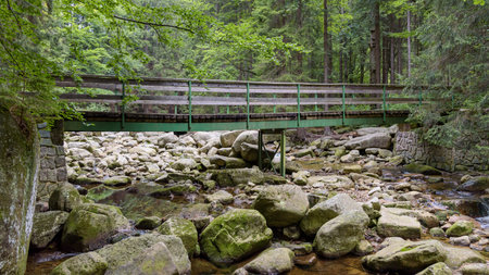 Bridge over the Mumlava river near Harrachov in Czech Giant Mountains