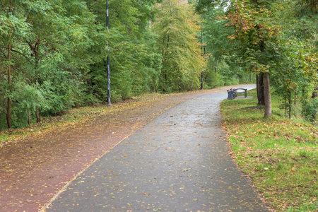 Park alley with bicycle path after rain at autumn day