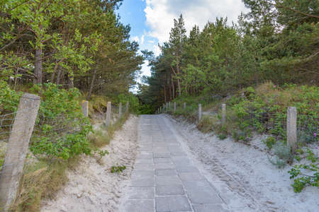 Paved beach entrance through the dunes at Baltic sea in Polandの写真素材