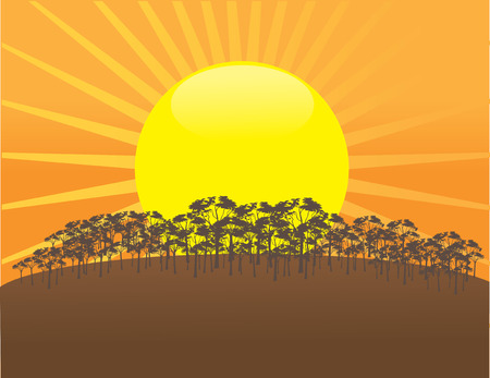 The sun is setting over a field of treesのイラスト素材