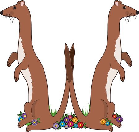 A pair of weasels in the shape of the letter Wのイラスト素材