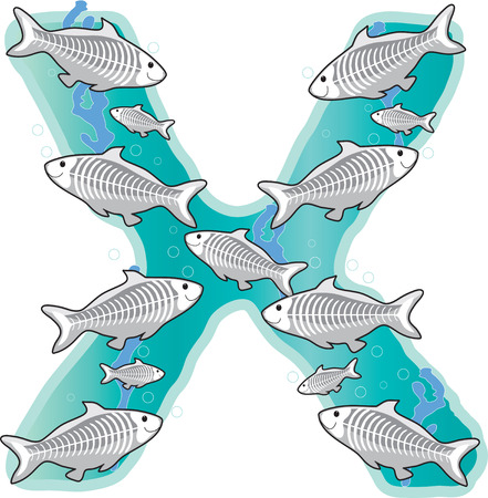 A school of X-Ray fish in the shape of the letter Xのイラスト素材