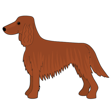 A cartoon illustration of an Irish Setter dogのイラスト素材