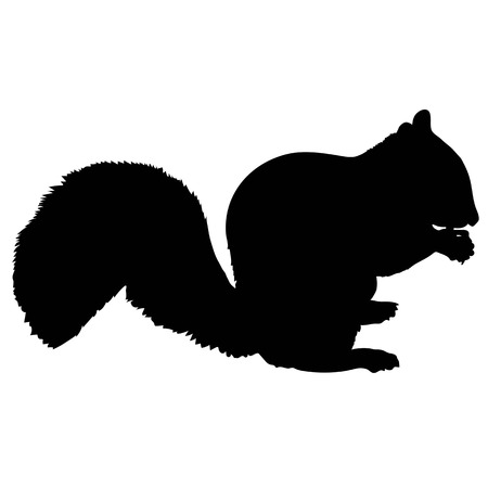 A silhouette of a squirrel eating a nutのイラスト素材
