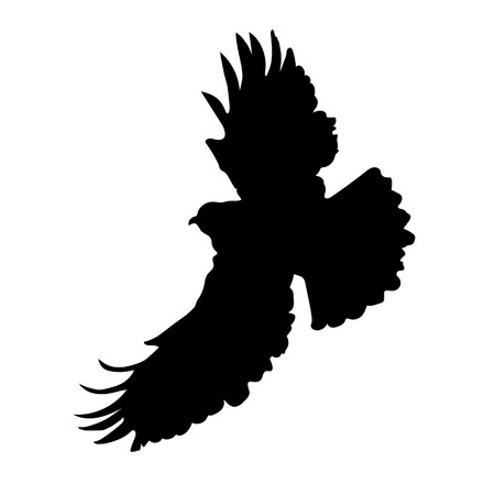 A silhouette of an eagle or hawk in mid flightのイラスト素材
