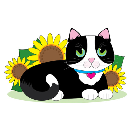 Black and white tuxedo cat lying down in a bed of sunflowersのイラスト素材
