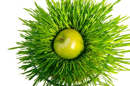 green apple on green grass in round potterの写真素材