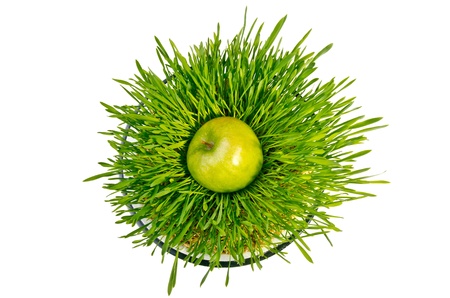 green apple on green grass in round potterの写真素材