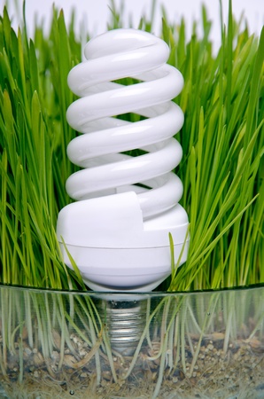 energy-saving bulb in the grass inside glassの写真素材