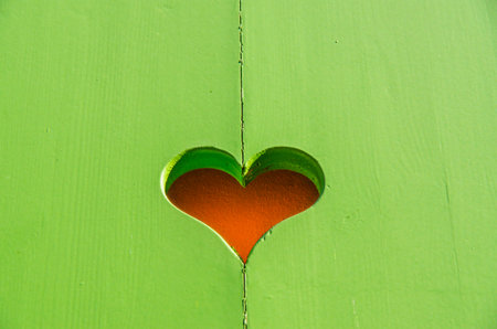 red heart in green woodの写真素材