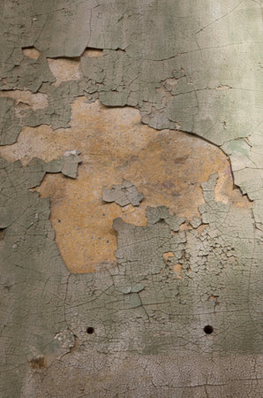 stucture on an old wallの写真素材
