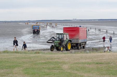 people walk through the wadden sea to Neuwerkのeditorial素材