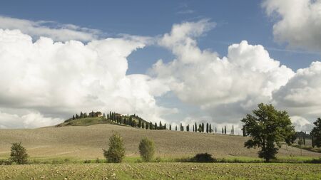 Landscape in Tuscanyの写真素材