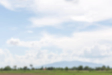 Landscape green field with cloudscape in blue sky blurry backgroundの写真素材