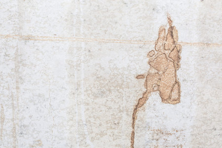 White concrete wall background texture with termite clay stain