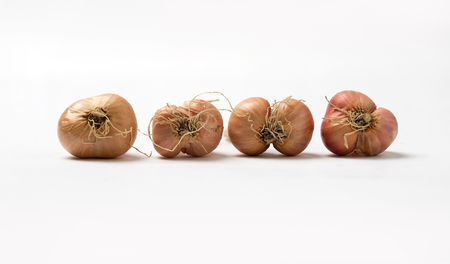 Organic Thai shallots isolated on a white background.の写真素材