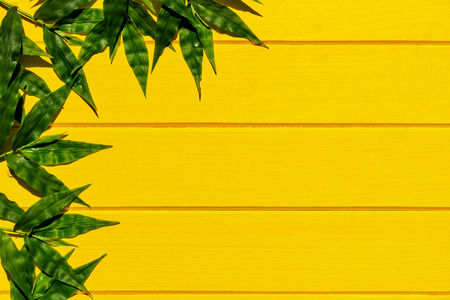 Tropical green grasses on yellow wood background top view shot.の写真素材