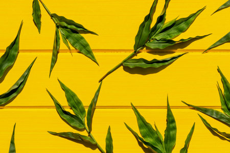Tropical green grasses on yellow wood background top view shot.