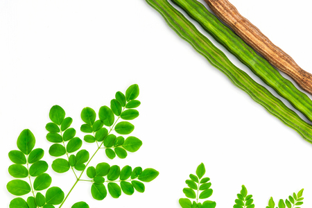 Monriga green leaf with drumstick fresh tropical plant on white wood.の写真素材