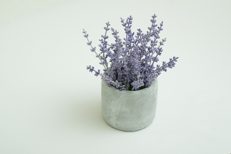 Artificial flower, Lavender shot on a plain isolated white backgroundの写真素材