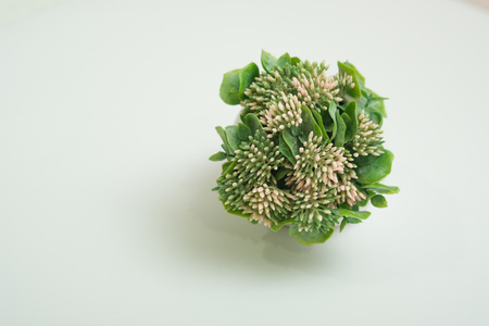 Artificial flower shot on a plain isolated white backgroundの写真素材