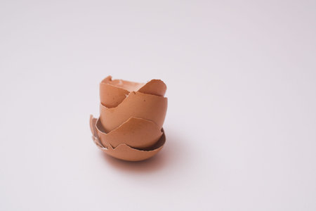 egg shells shot on a plain white background.