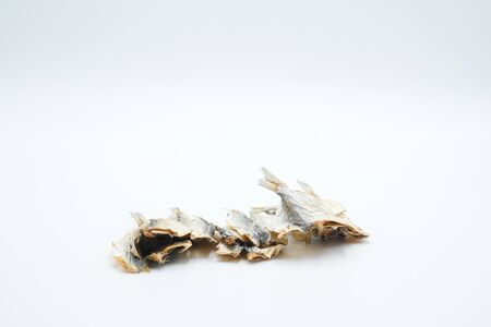 Dried Silver-stripe round herring shot in a white isolated backgroundの写真素材