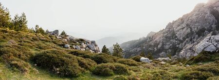 Wilderness National Park overlooking mountains, trees and rocks in Corsicaの写真素材